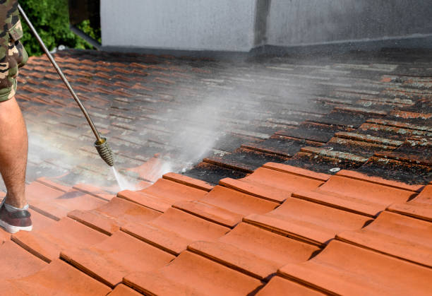 Best Affordable Pressure Washing  in White House, TN